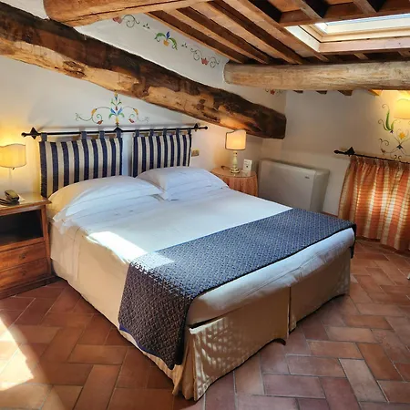 Curina Castelnuovo Berardenga