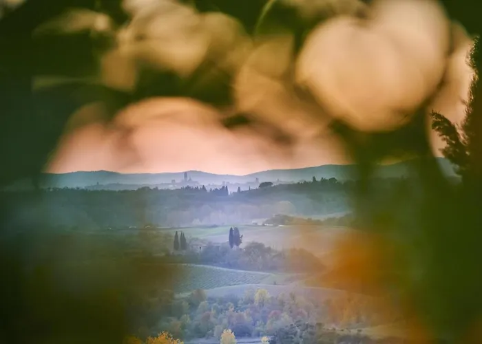 Curina Castelnuovo Berardenga