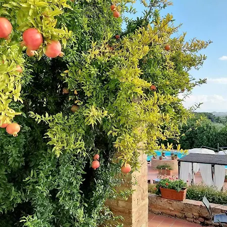 Hotel Curina Castelnuovo Berardenga