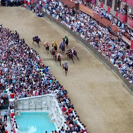 Curina Castelnuovo Berardenga